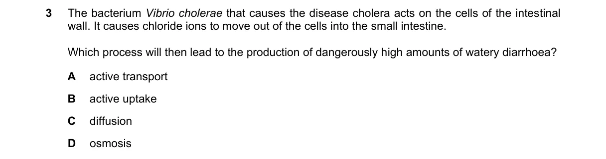 Question 3 from 5090/11/O/N/24