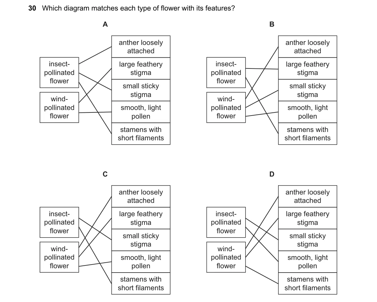 Question 30 from 5090/11/O/N/24