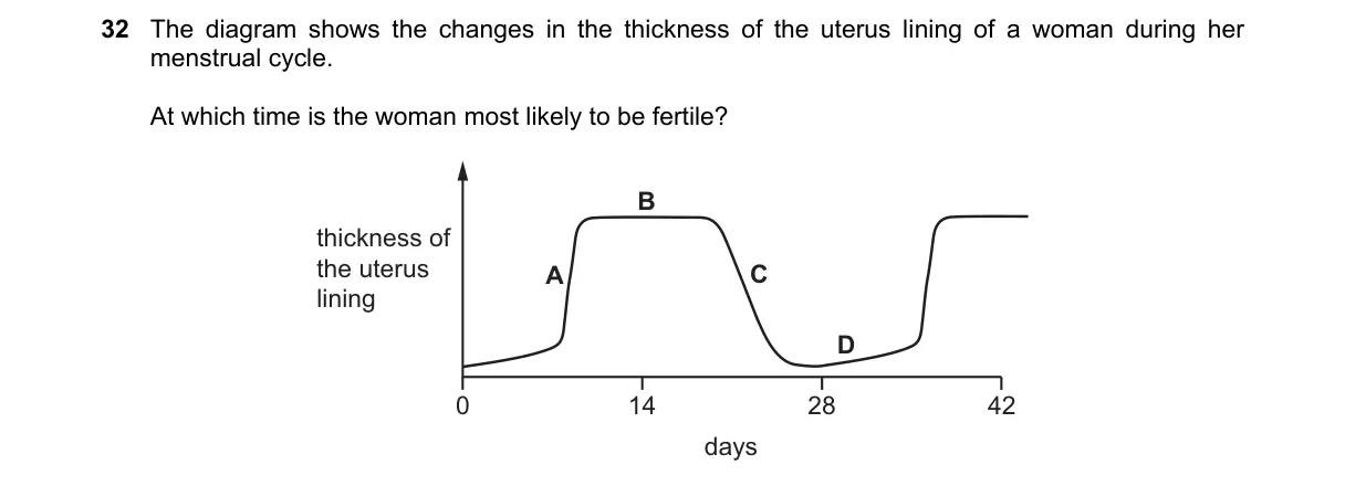 Question 32 from 5090/11/O/N/24