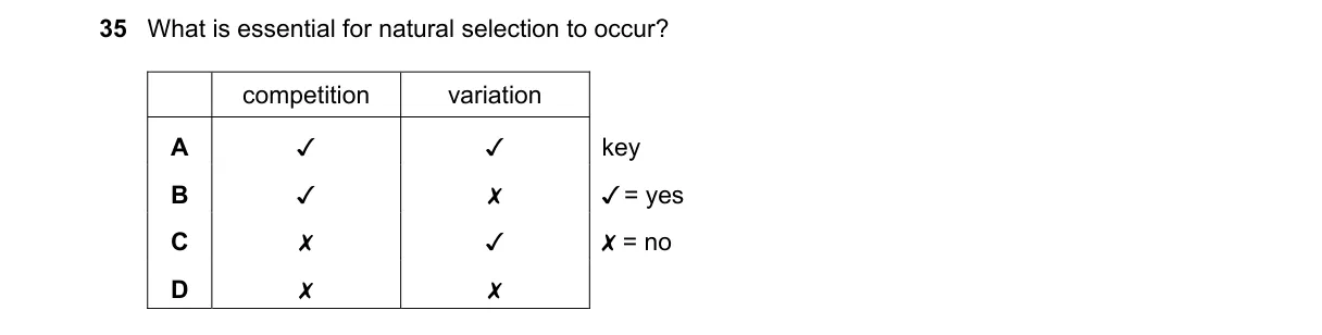 Question 35 from 5090/11/O/N/24