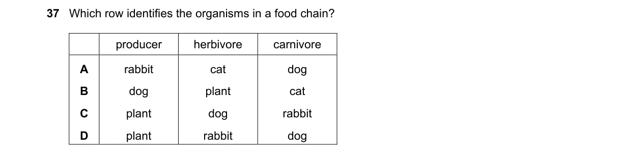 Question 37 from 5090/11/O/N/24