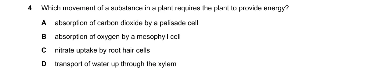 Question 4 from 5090/11/O/N/24