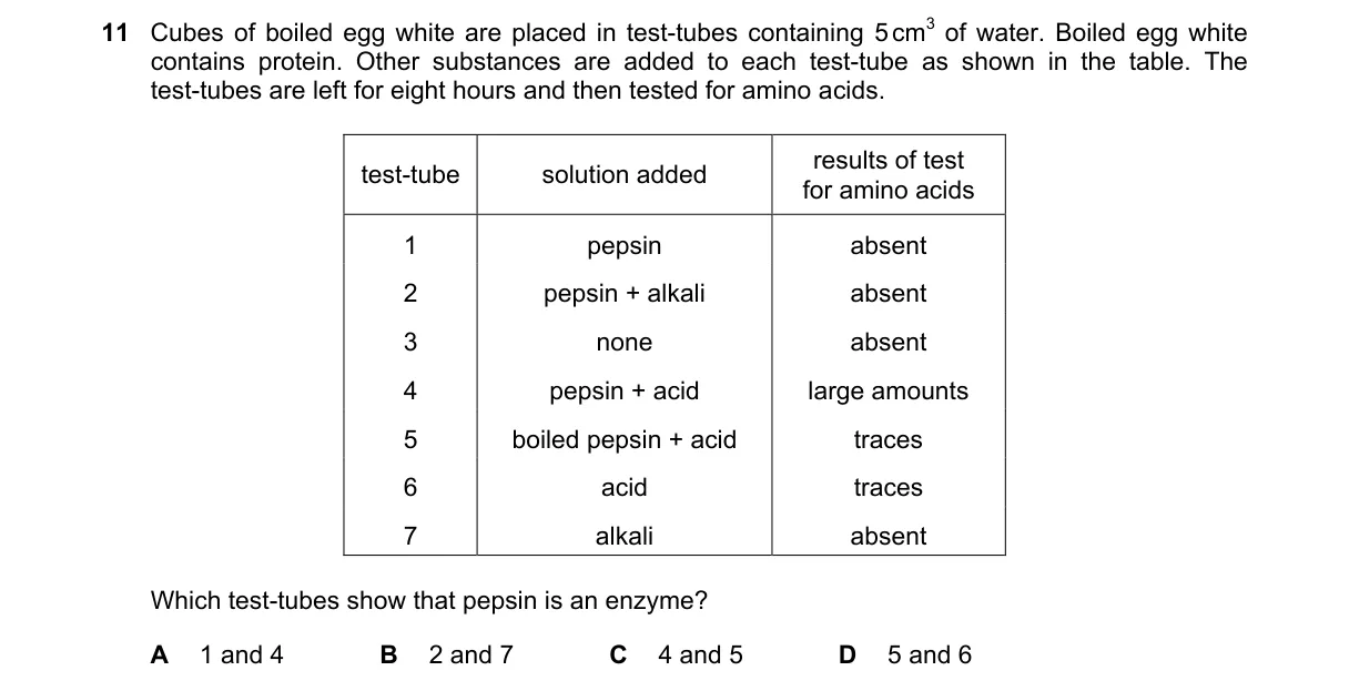 Question 11 from 5090/12/O/N/24