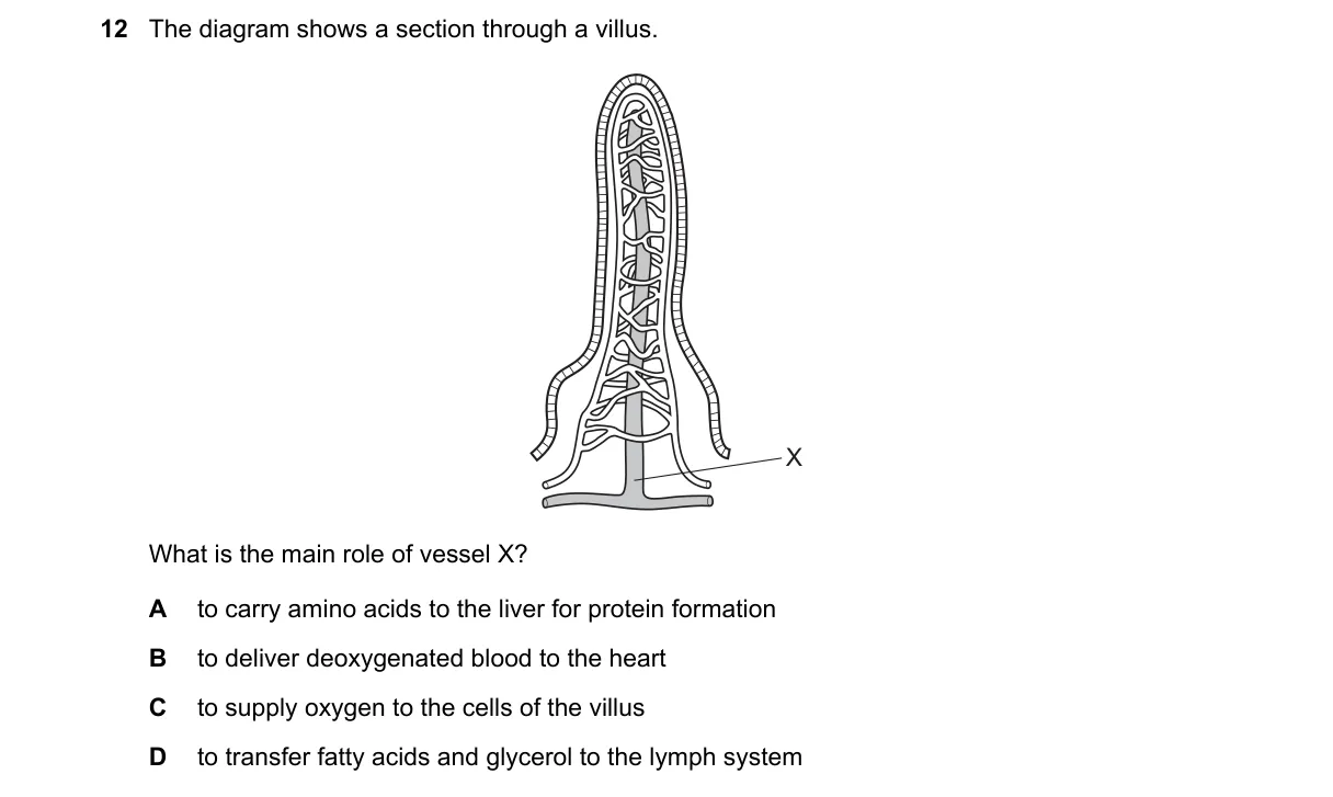 Question 12 from 5090/12/O/N/24