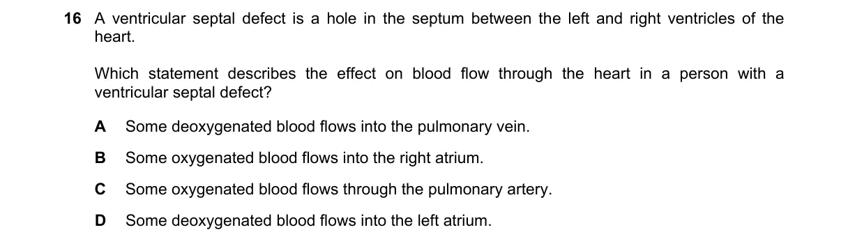 Question 16 from 5090/12/O/N/24