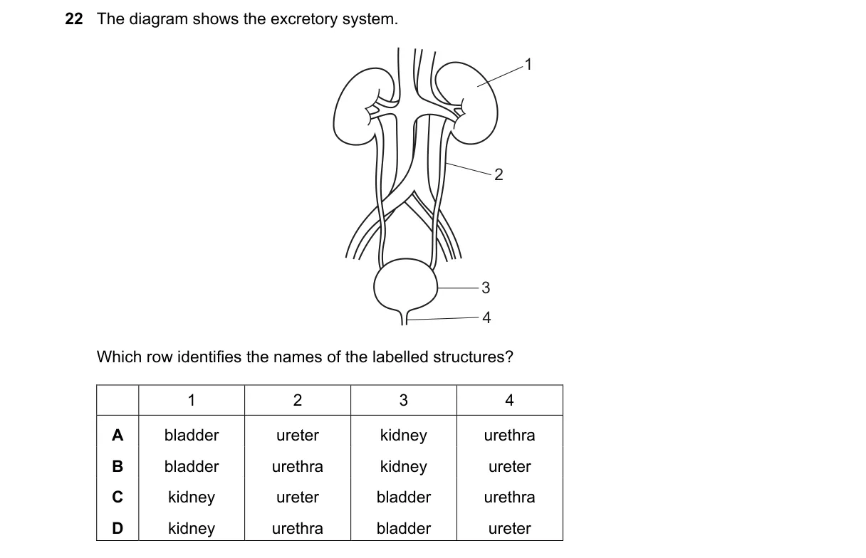Question 22 from 5090/12/O/N/24