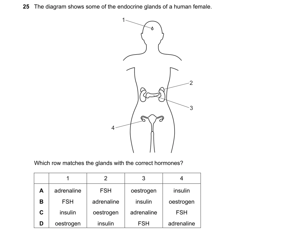 Question 25 from 5090/12/O/N/24