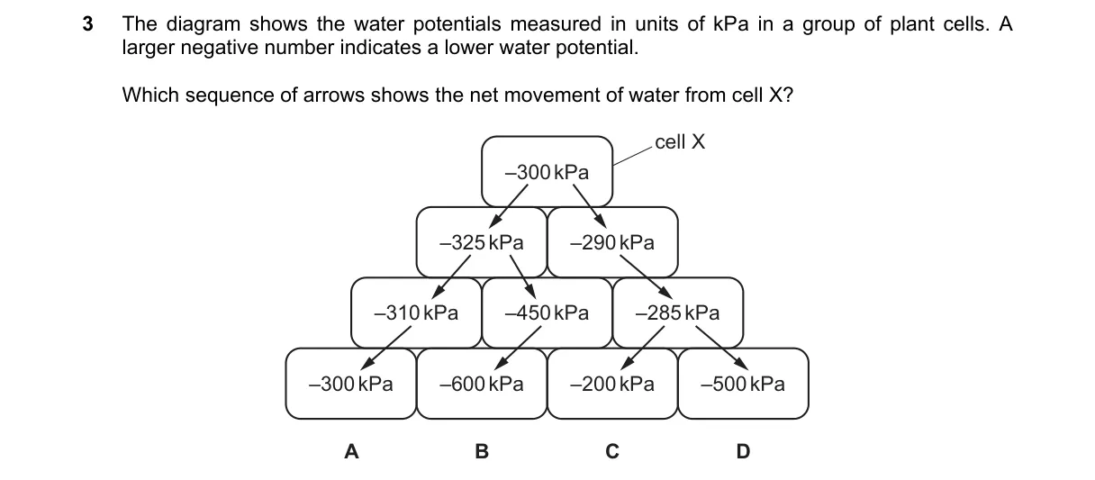 Question 3 from 5090/12/O/N/24