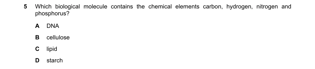 Question 5 from 5090/12/O/N/24