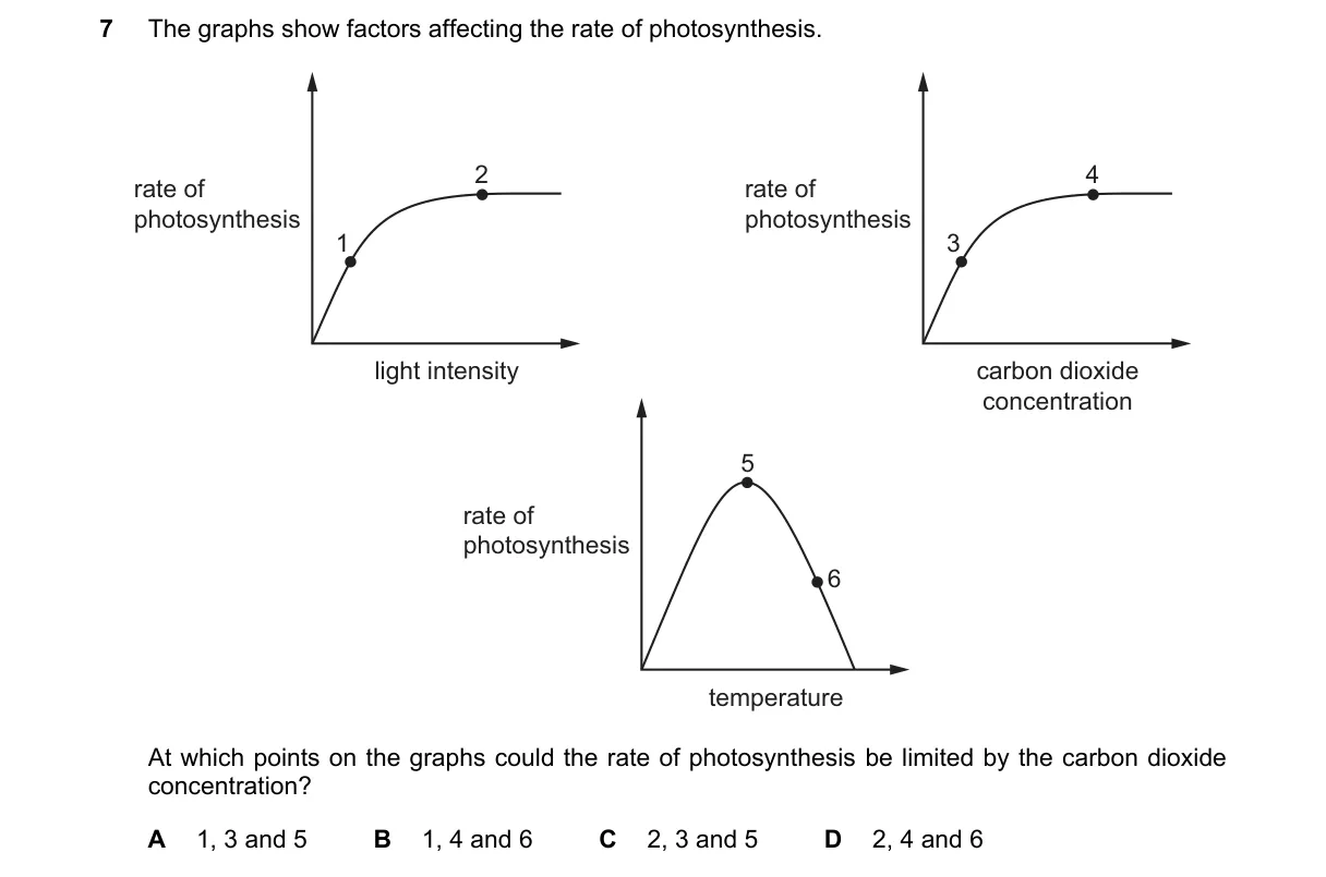 Question 7 from 5090/12/O/N/24
