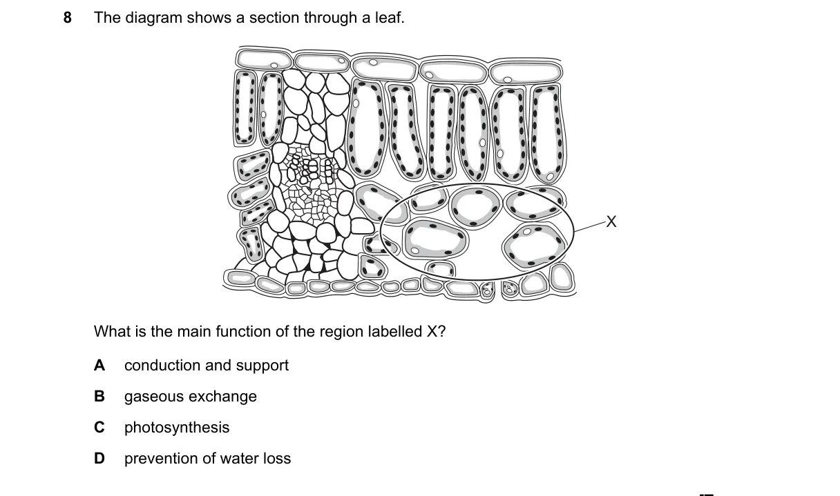 Question 8 from 5090/12/O/N/24