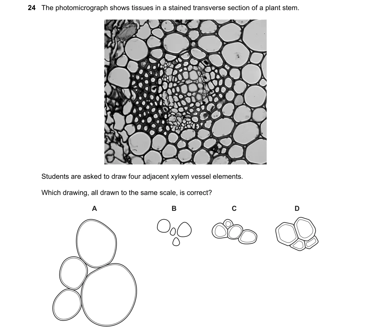 Question 24 from 9700/11/M/J/18