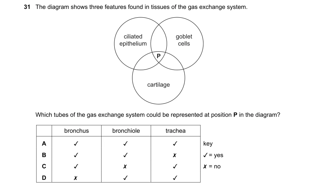Question 31 from 9700/11/M/J/18