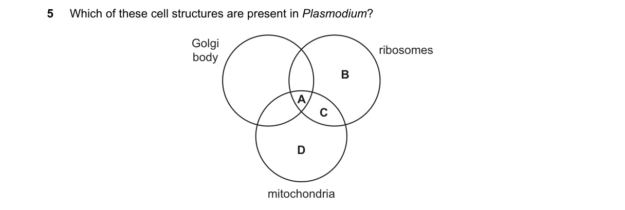 Question 5 from 9700/12/M/J/18