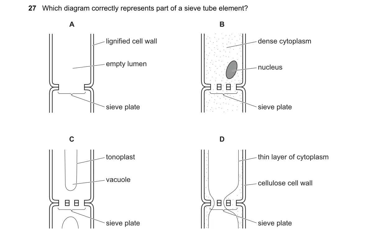Question 27 from 9700/13/M/J/18