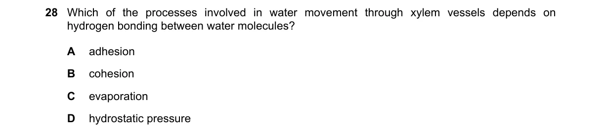 Question 28 from 9700/13/M/J/18