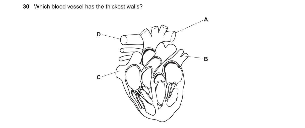Question 30 from 9700/13/M/J/18