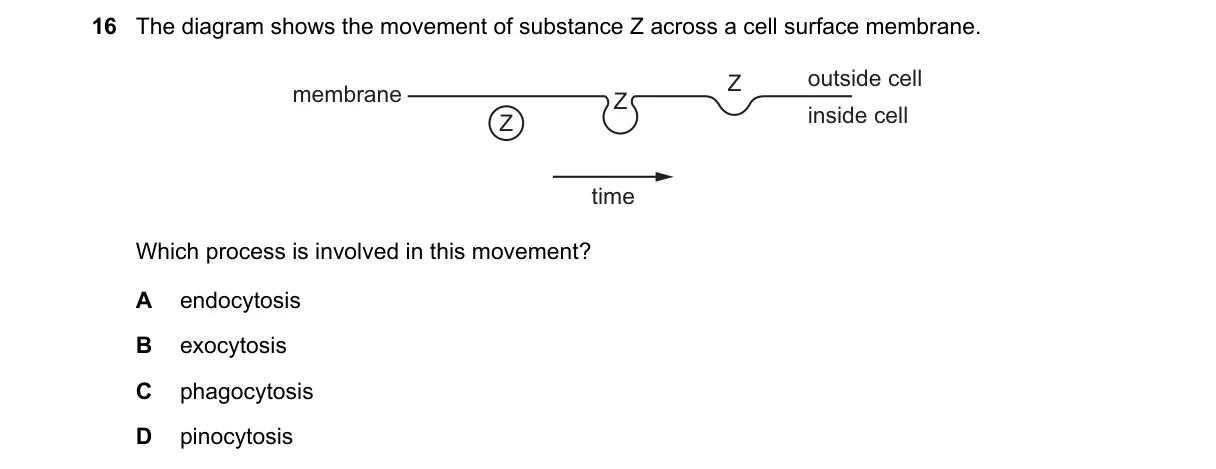 Question 16 from 9700/11/M/J/19