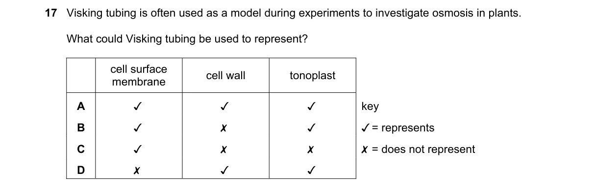 Question 17 from 9700/11/M/J/19