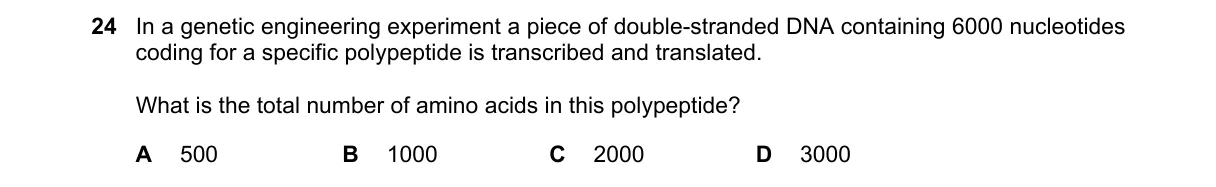 Question 24 from 9700/11/M/J/19