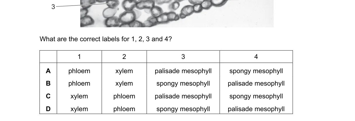 Question 3 from 9700/11/M/J/19