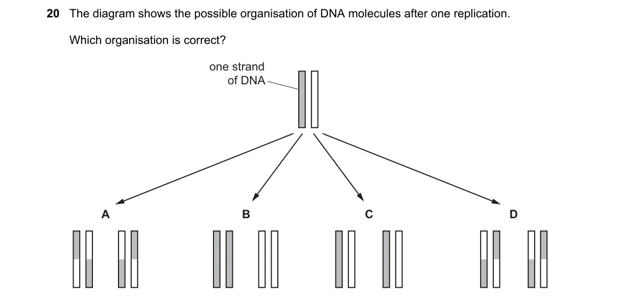 Question 20 from 9700/12/M/J/19