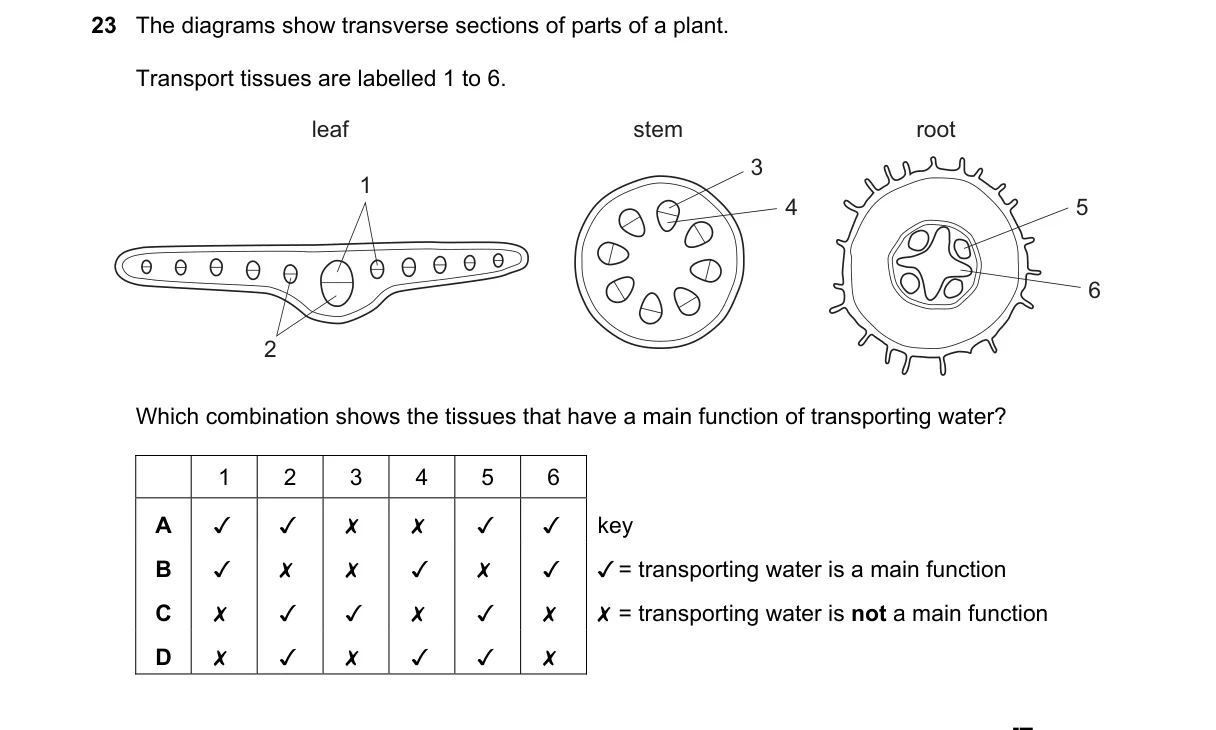 Question 23 from 9700/12/M/J/19