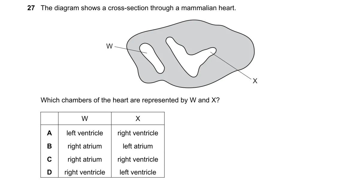Question 27 from 9700/12/M/J/19