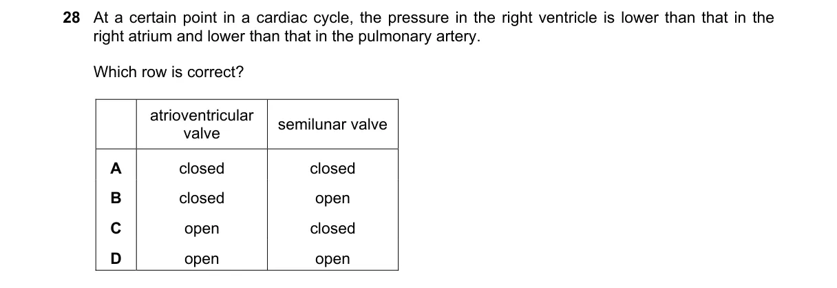 Question 28 from 9700/12/M/J/19