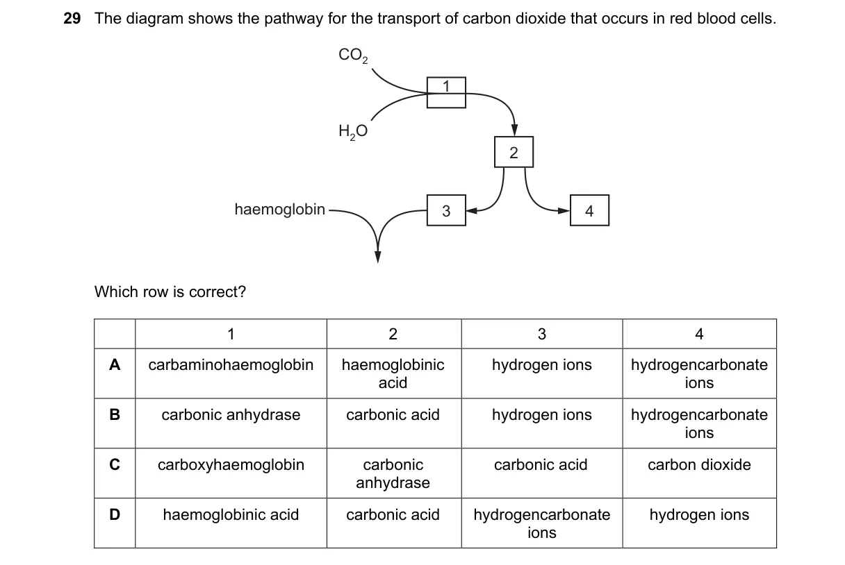 Question 29 from 9700/12/M/J/19