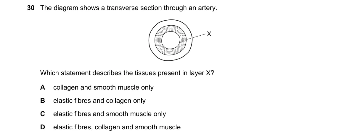 Question 30 from 9700/12/M/J/19