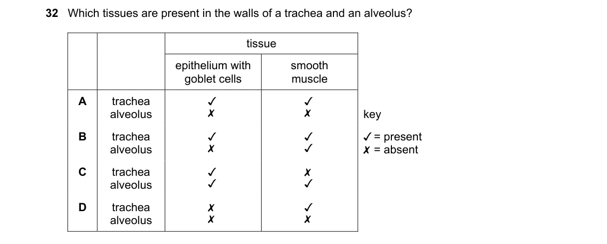 Question 32 from 9700/12/M/J/19