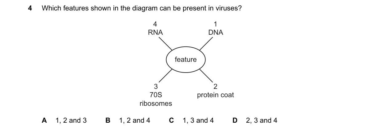 Question 4 from 9700/12/M/J/19