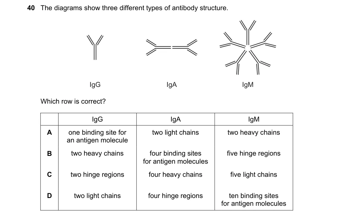 Question 40 from 9700/12/M/J/19