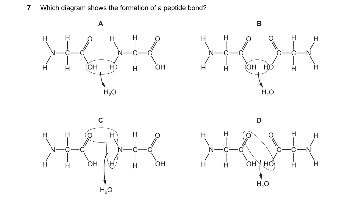 Question 7 from 9700/12/M/J/19