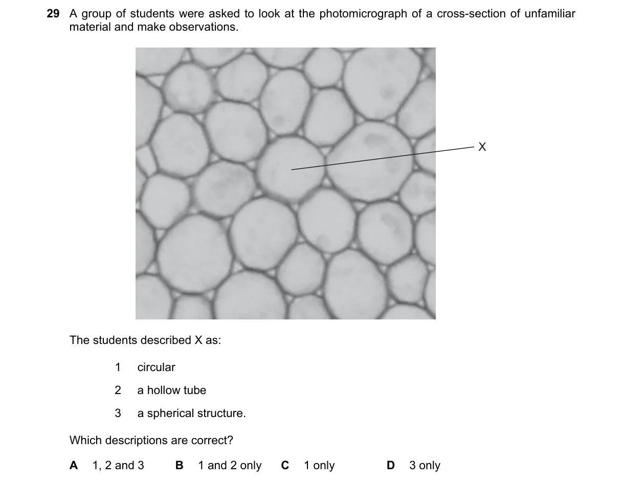 Question 29 from 9700/13/M/J/19