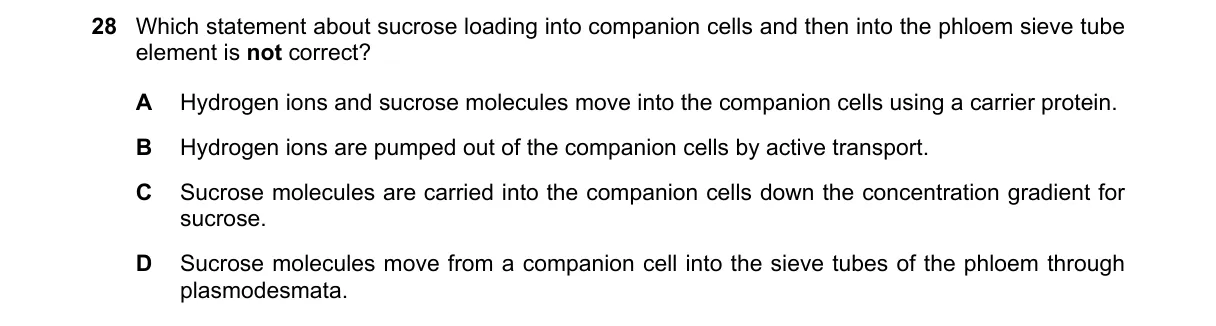 Question 28 from 9700/11/M/J/20