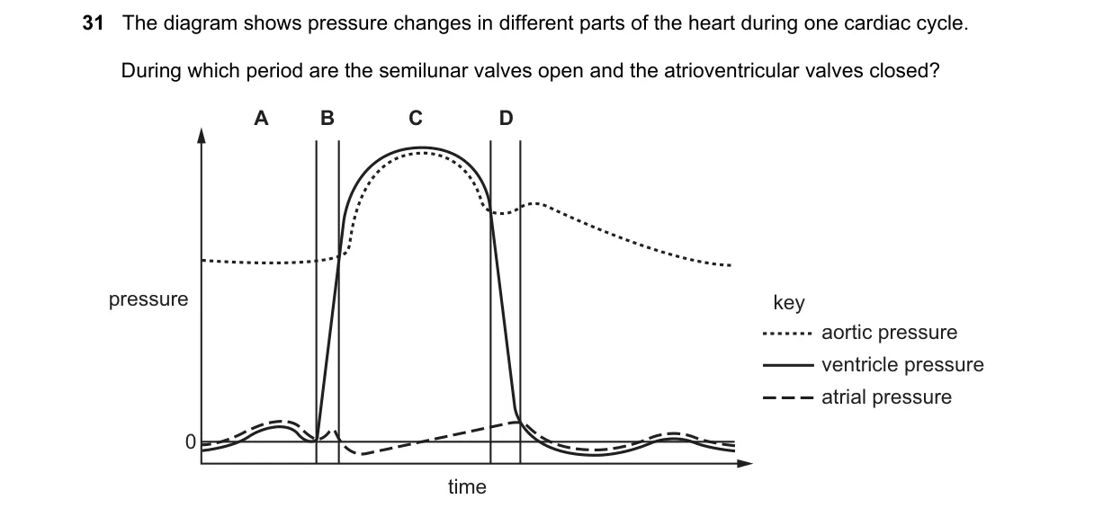 Question 31 from 9700/11/M/J/20