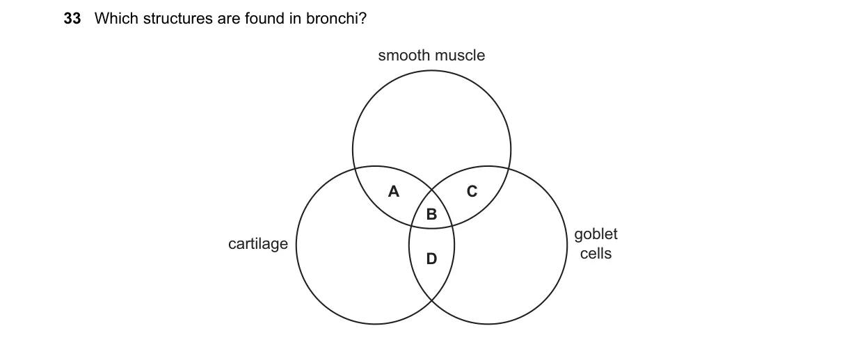 Question 33 from 9700/11/M/J/20