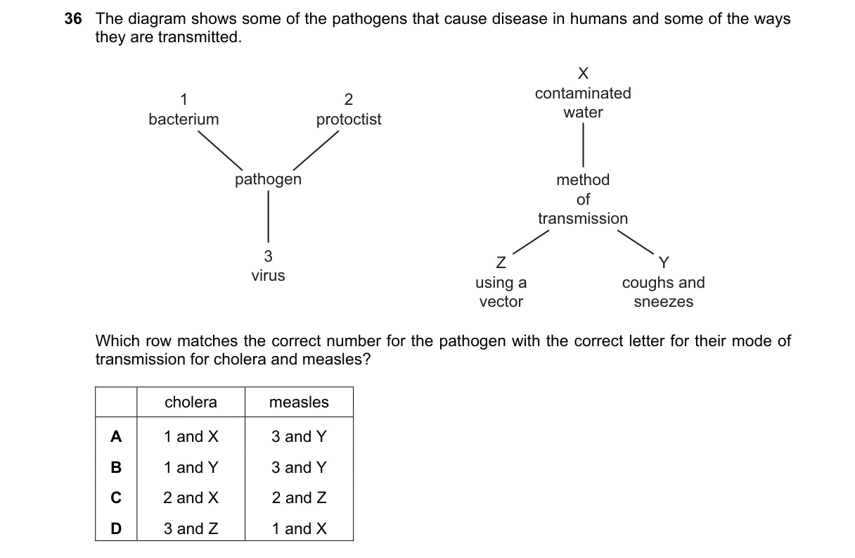 Question 36 from 9700/11/M/J/20