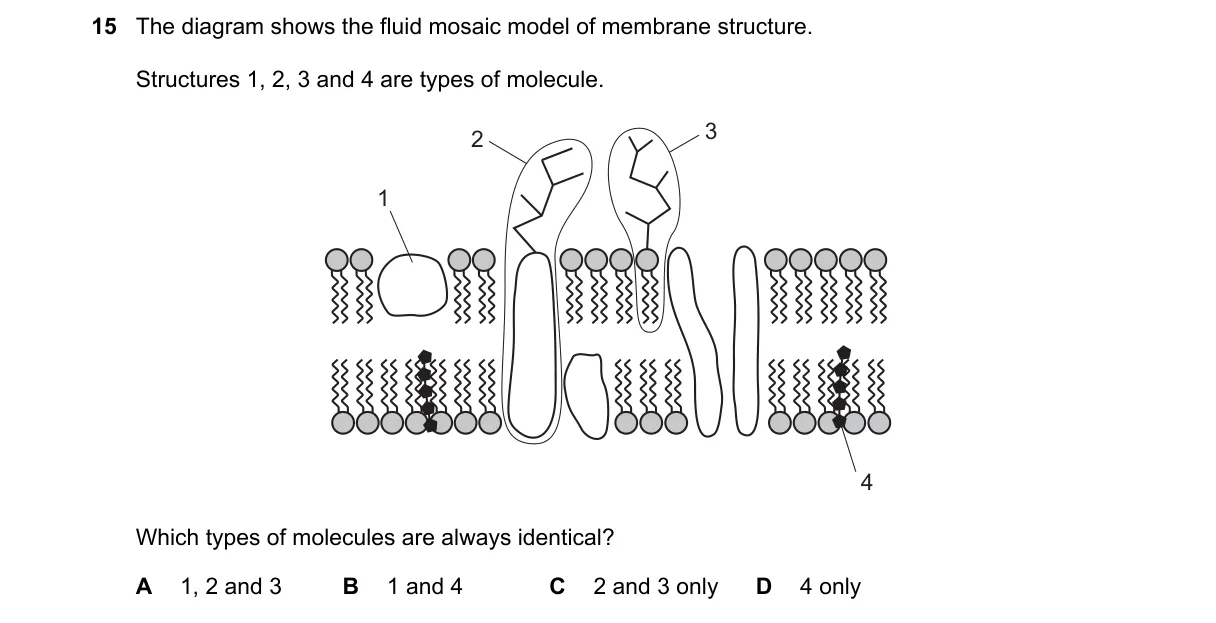 Question 15 from 9700/12/M/J/20