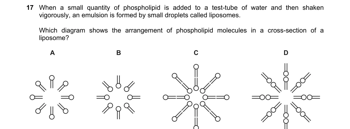Question 17 from 9700/12/M/J/20