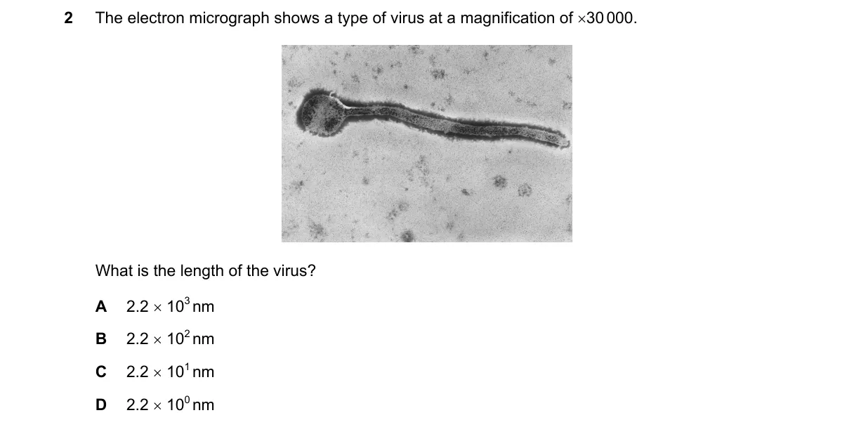 Question 2 from 9700/12/M/J/20