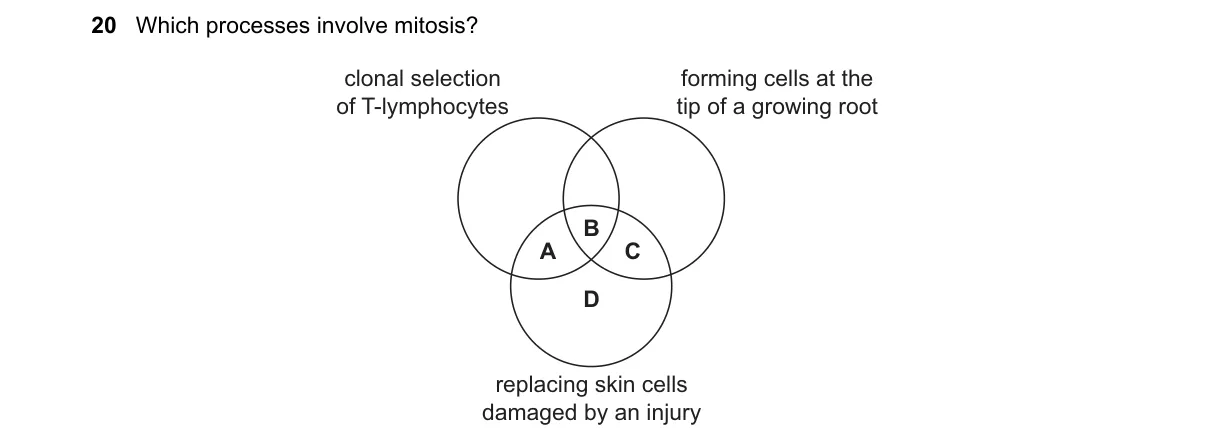 Question 20 from 9700/12/M/J/20