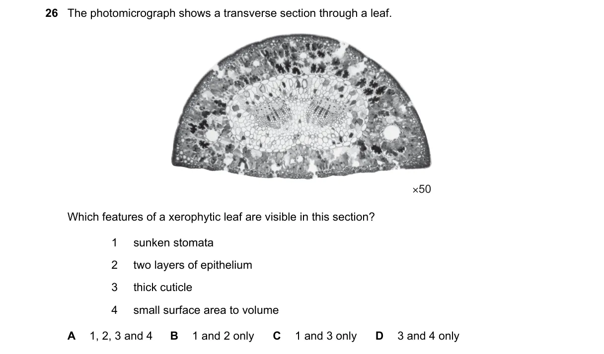 Question 26 from 9700/12/M/J/20
