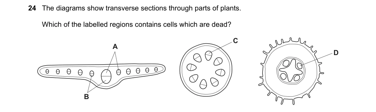 Question 24 from 9700/13/M/J/20