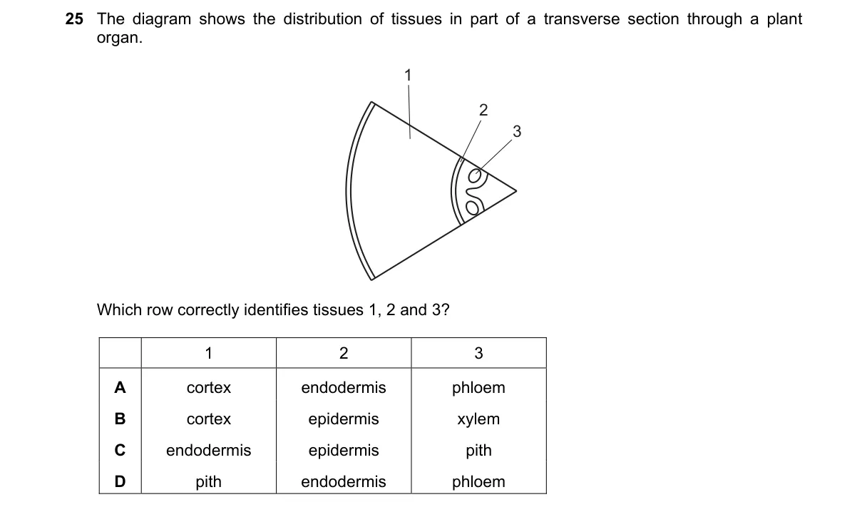 Question 25 from 9700/13/M/J/20