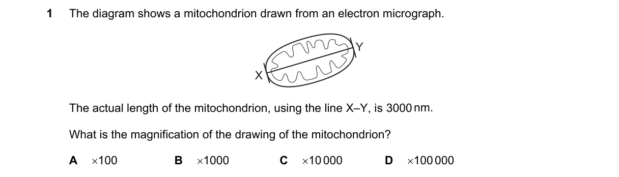 Question 1 from 9700/11/M/J/21