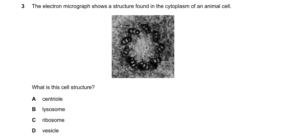 Question 3 from 9700/11/M/J/21