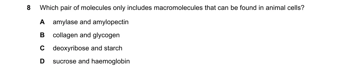 Question 8 from 9700/11/M/J/21